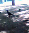 b0021441_23515060.jpg