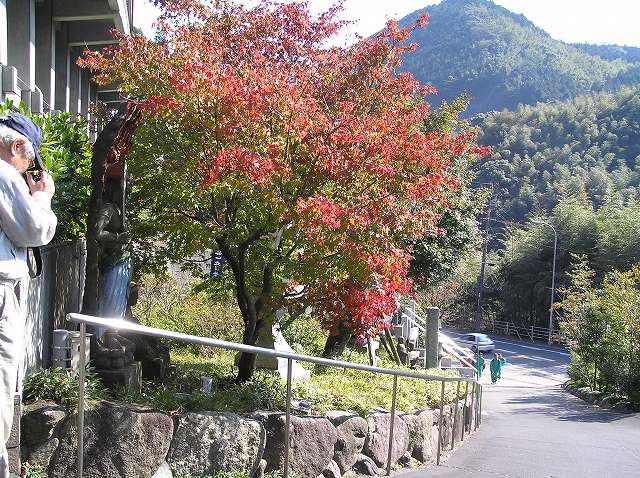 篠栗南蔵院・呑山観音の紅葉_b0019587_20412629.jpg