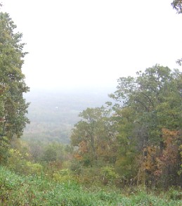 a0005394_6302545.jpg