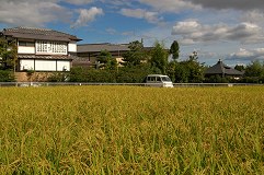 Sagano & Arashiyama_a0003697_19105369.jpg