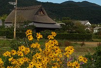 Sagano & Arashiyama_a0003697_19111384.jpg