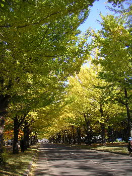 a0011280_2323848.jpg