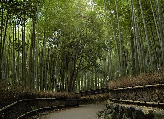 Sagano & Arashiyama_a0003697_13541139.jpg