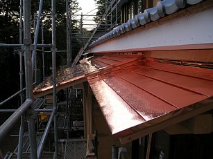 b0003400_197686.jpg