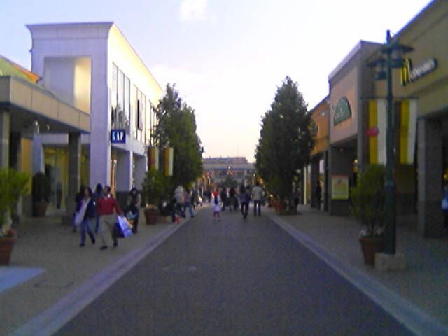 b0042138_21164769.jpg