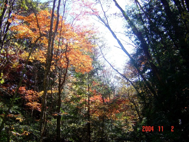 a0005691_22494271.jpg