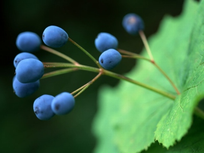 a0026800_11371346.jpg