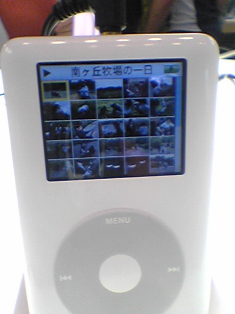 SCOOOOOOP!! iPod Photo 実機速攻インプレッション!_b0029315_17443220.jpg