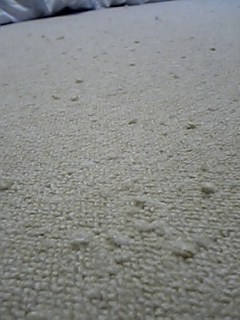 a0027720_123931100.jpg