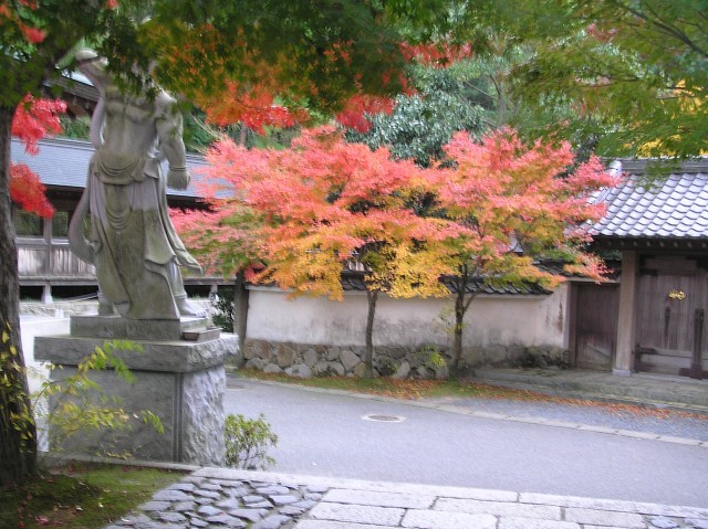 飯盛山横奥深く紅葉を訪ねて_b0019587_21234443.jpg