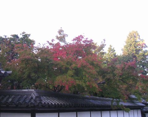 南禅寺の紅葉、ちょっとだけ色づいていました_a0002658_0222782.jpg