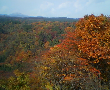 土湯温泉産ガ沢橋にて_a0004079_1042386.jpg