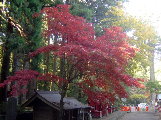 a0005691_447455.jpg