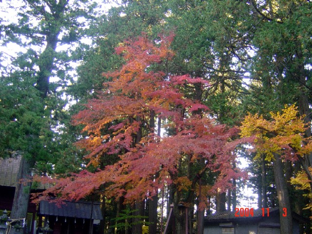 a0005691_448336.jpg
