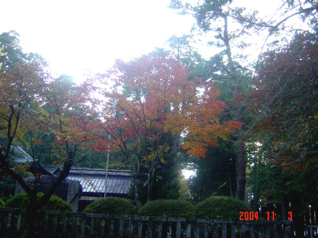 a0005691_449936.jpg