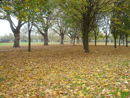 London Fields_a0004810_20361634.jpg