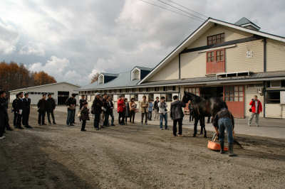 ウイン レーシング