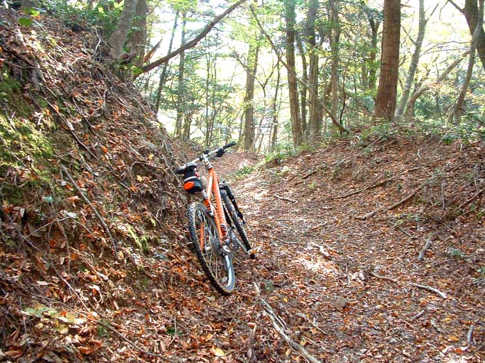 やっと行けました！八ヶ峰　　part　３　山頂からいよいよ下り_a0014853_1251520.jpg