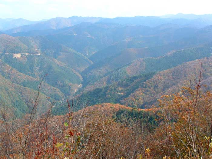 やっと行けました！八ヶ峰　　part　３　山頂からいよいよ下り_a0014853_134232.jpg