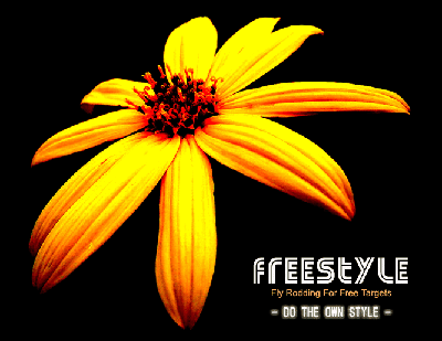 FREESTYLE LOGO #4_b0028218_23275625.gif