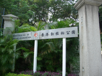 香港動植物公園（植物編）_a0025439_15133349.jpg