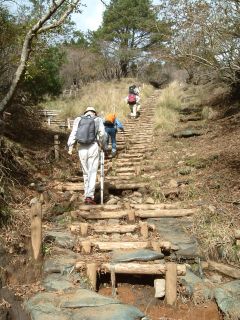 山歩き　丹沢塔ノ岳_b0026451_13544446.jpg