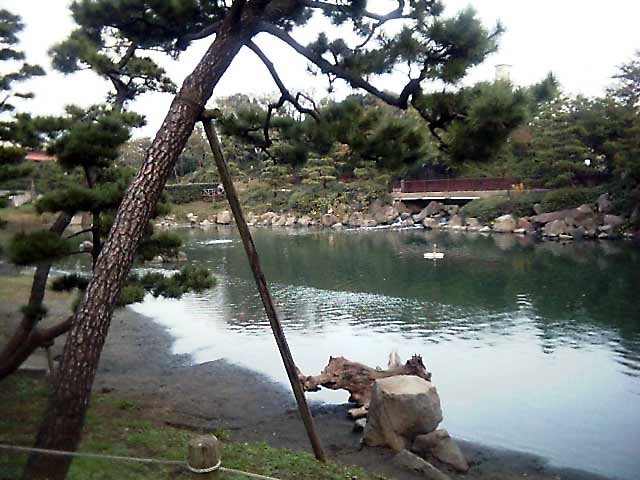 a0019601_154328.jpg