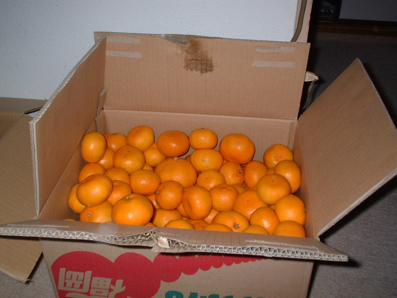 a0019915_22302964.jpg