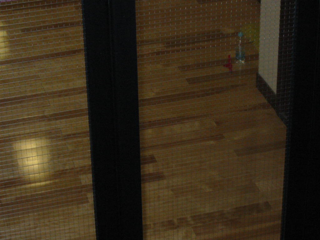 a0035650_443442.jpg