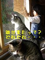 もう一匹いました(石田家)_b0059154_23462341.jpg