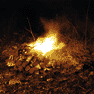 b0036982_1592462.gif