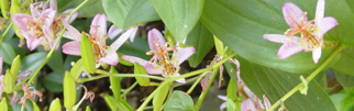 b0059686_11566.jpg