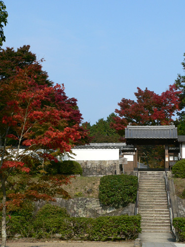 柳生・芳徳寺_a0020340_74156.jpg