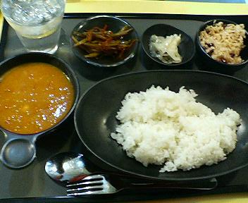 カレーカレー_a0001151_23122873.jpg