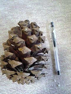 a0027720_1411268.jpg