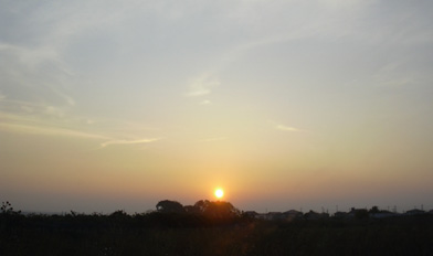 11月10日 臨時休業_a0001354_19284566.jpg