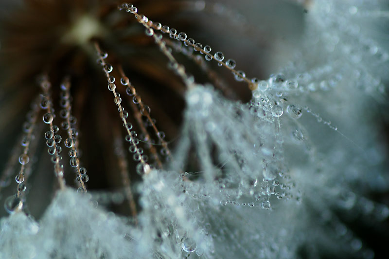 b0031558_451289.jpg
