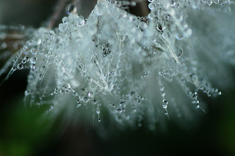 b0031558_454769.jpg