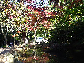 a0003202_205449100.jpg