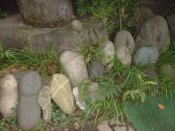 b0031715_13411366.gif