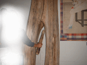 b0031715_13475857.gif