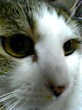 b0055939_212363.jpg