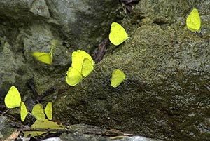a0028694_1621881.jpg