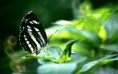 a0028694_1632927.jpg