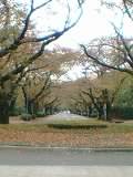 b0042288_1495475.jpg
