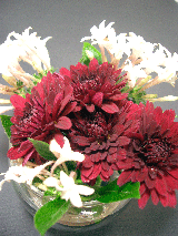 11月15日　今日の花_b0037160_13212035.gif