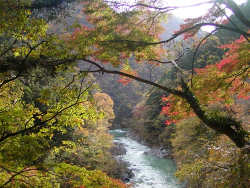 奥多摩の紅葉はこんな感じ_a0004725_12421668.jpg