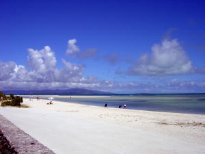 a0003032_23502532.jpg