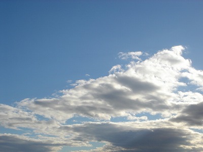 b0015885_1632989.jpg