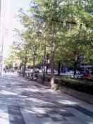 b0052094_2334463.jpg
